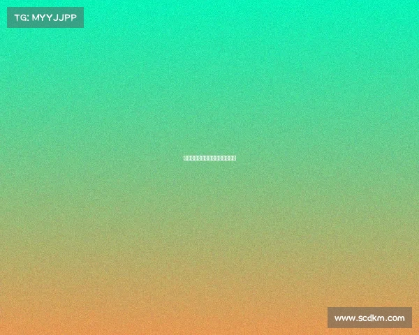 防守型中场：掌控比赛的关键一环